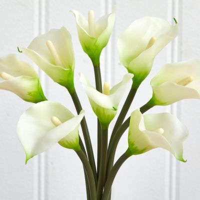 Classic Calla Lily Arrangement