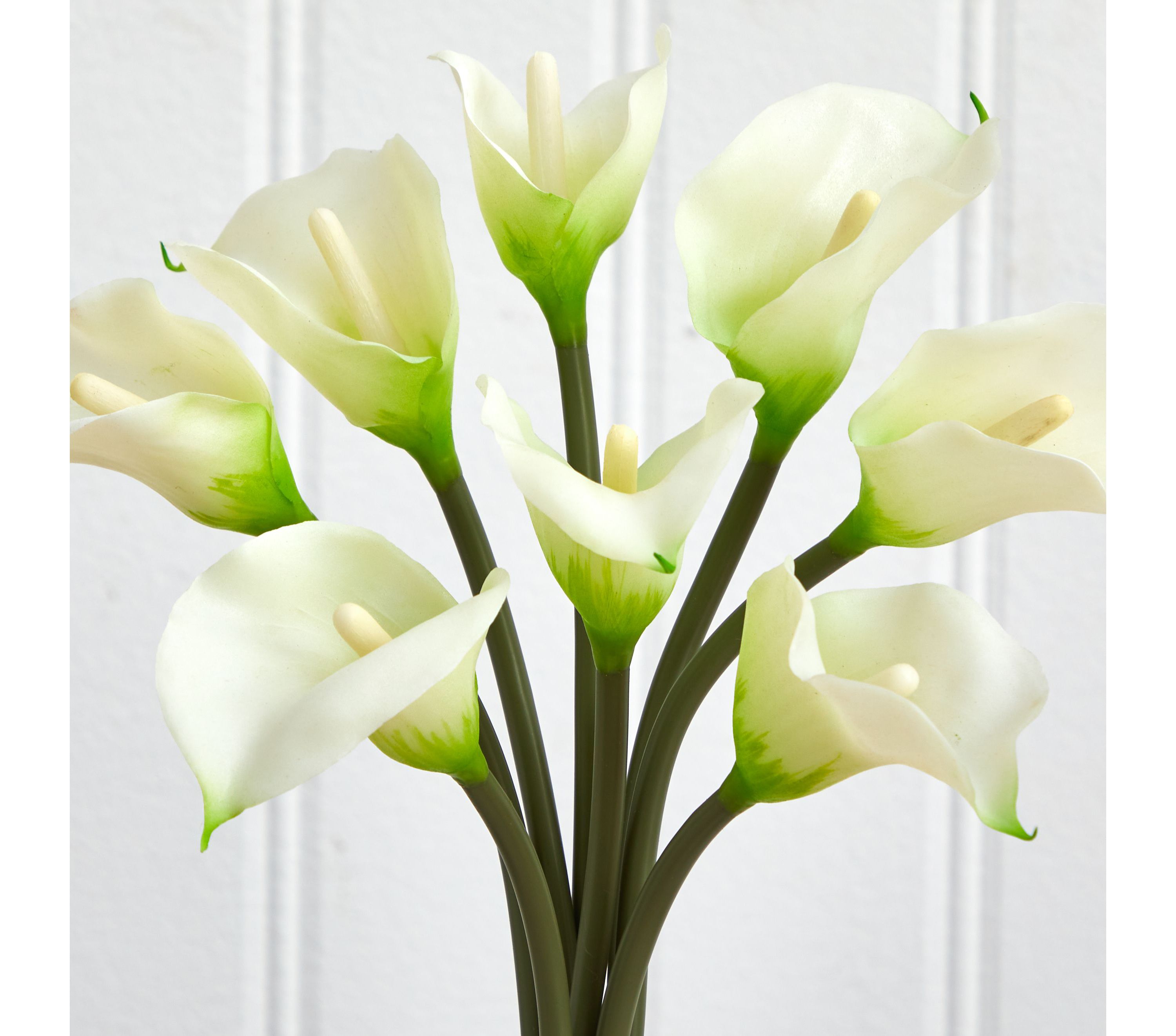 Classic Calla Lily Arrangement