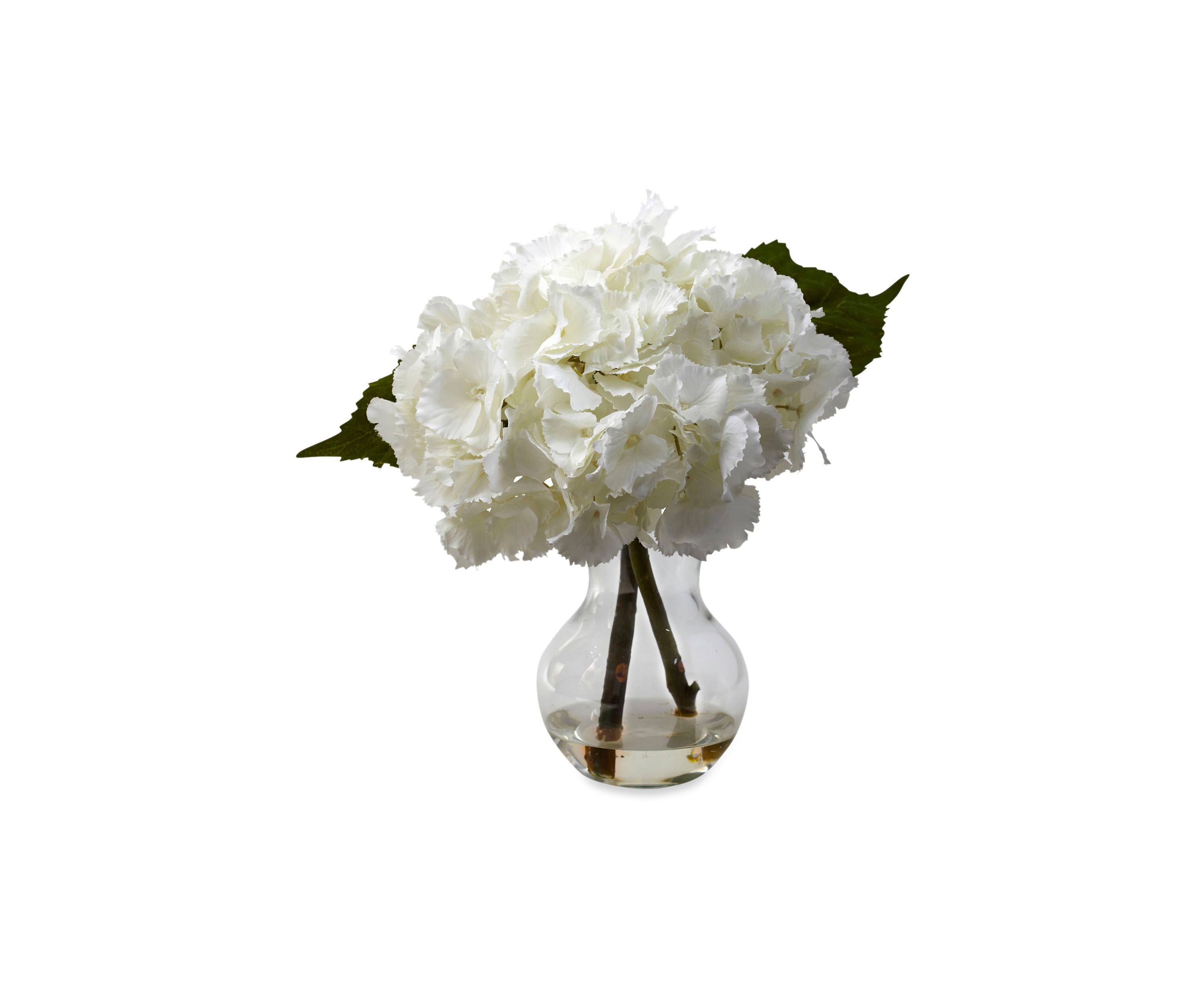 Blooming Hydrangea with Vase Arrangement