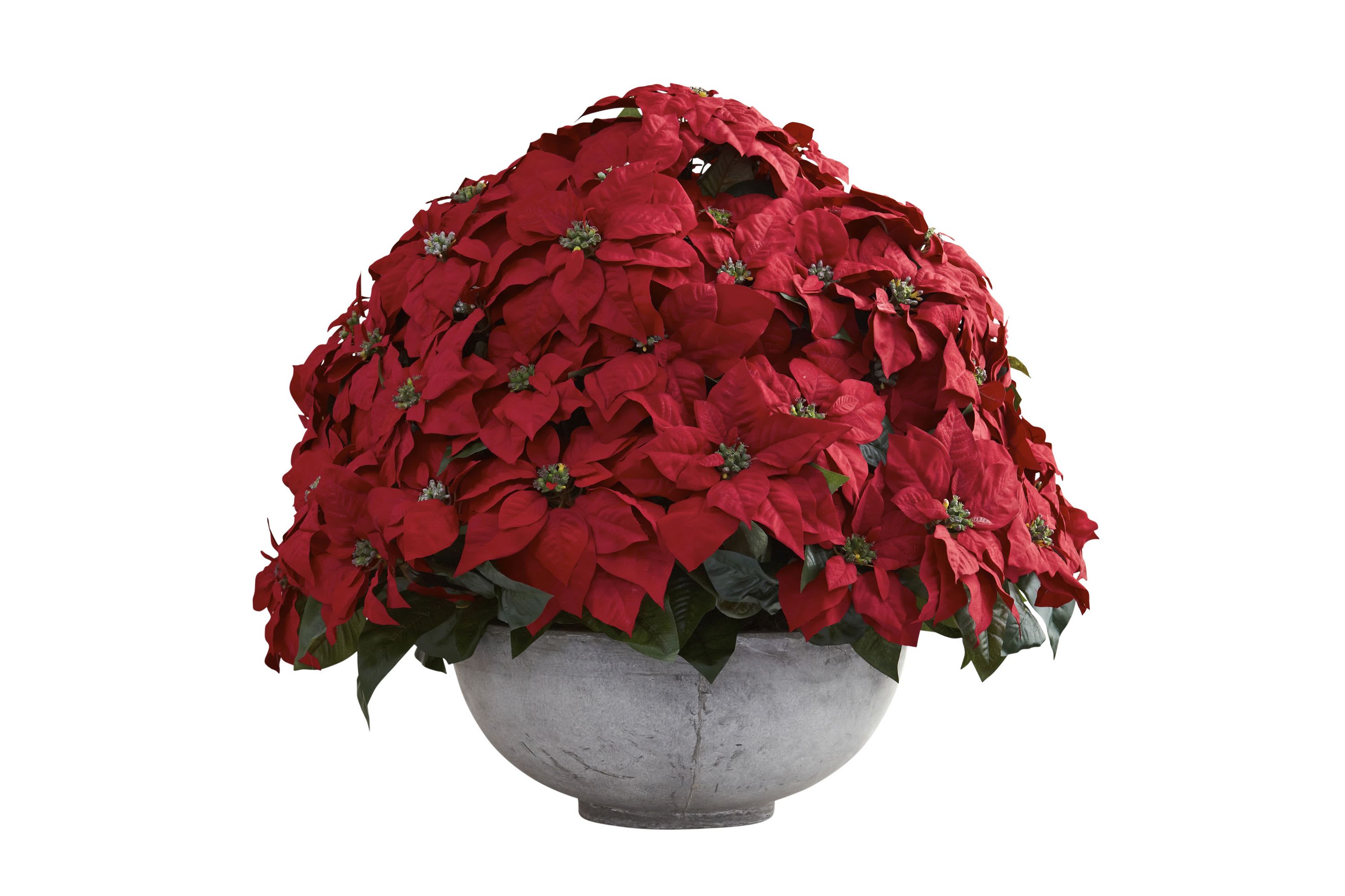 Giant Poinsettia Arrangement with Decorative Planter