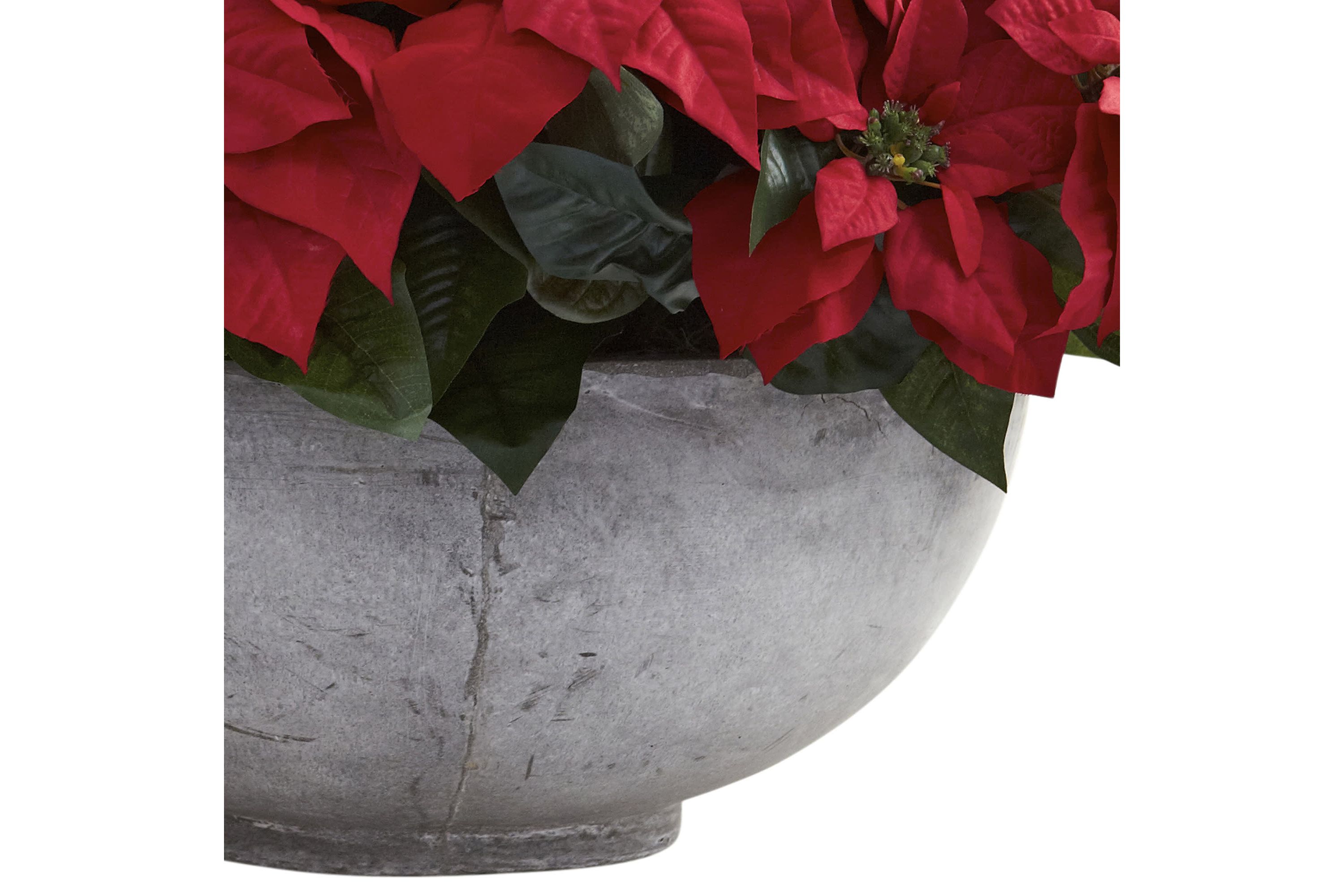 Giant Poinsettia Arrangement with Decorative Planter