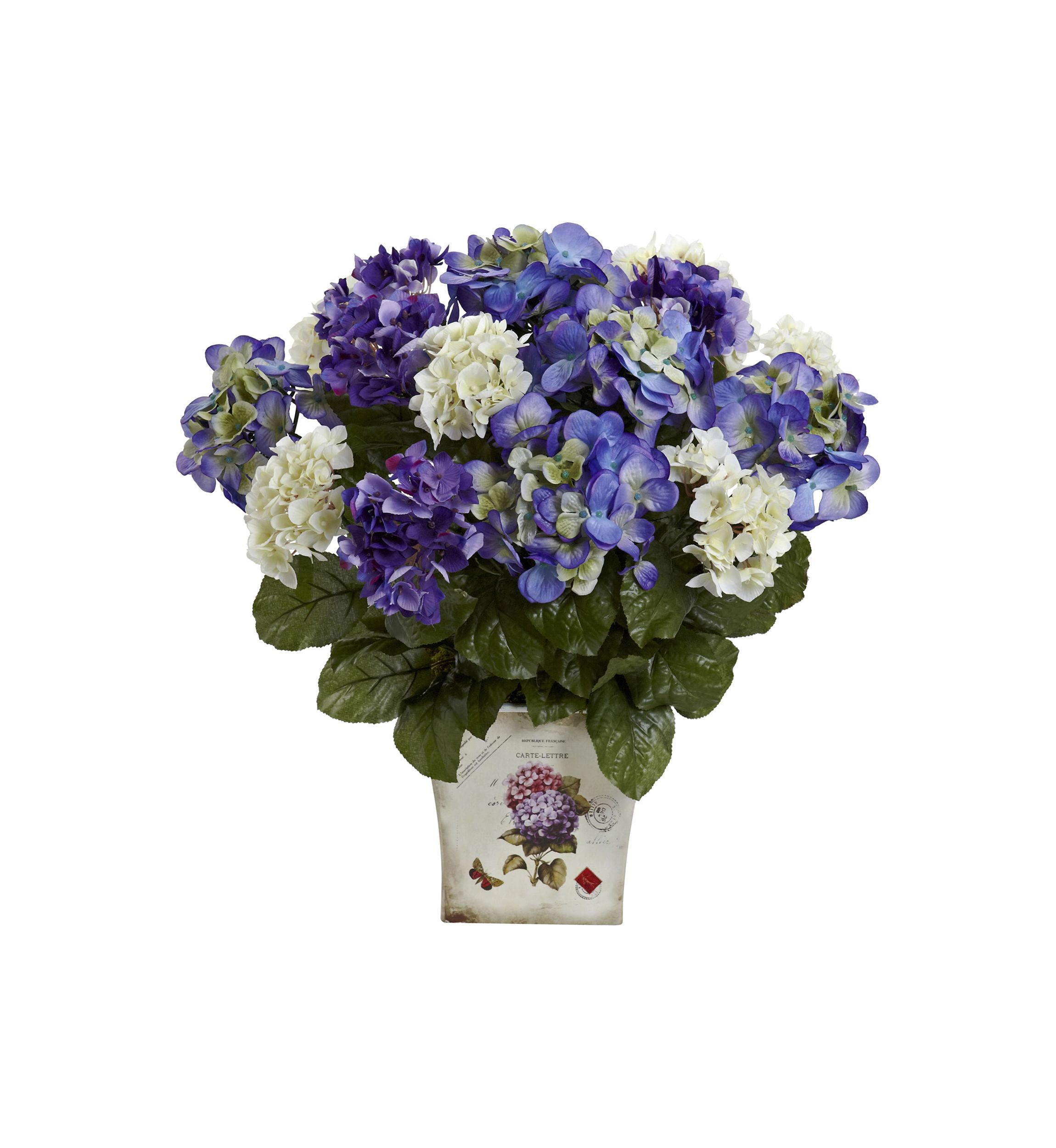 Assorted  Hydrangea with Floral Planter