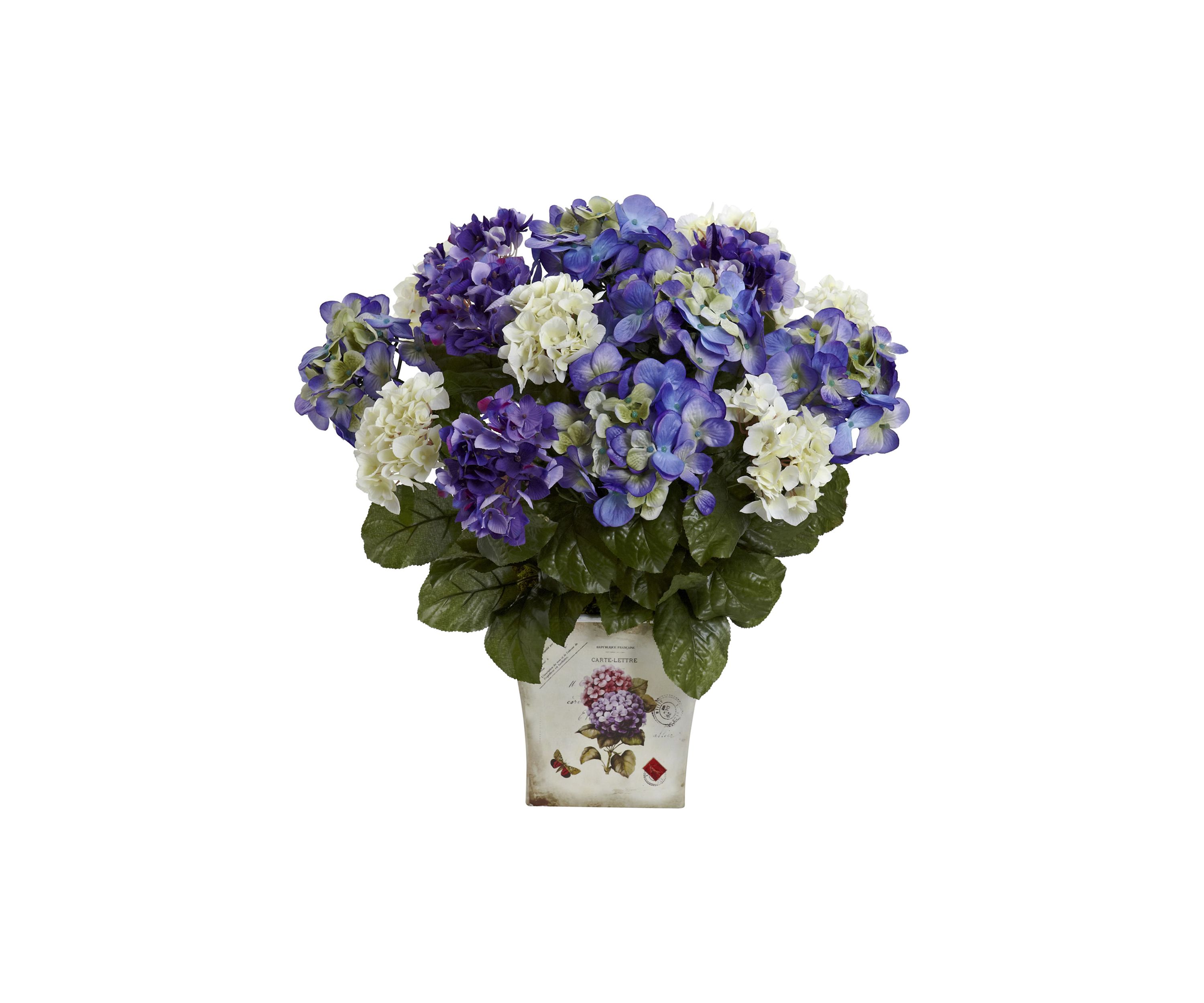 Assorted  Hydrangea with Floral Planter