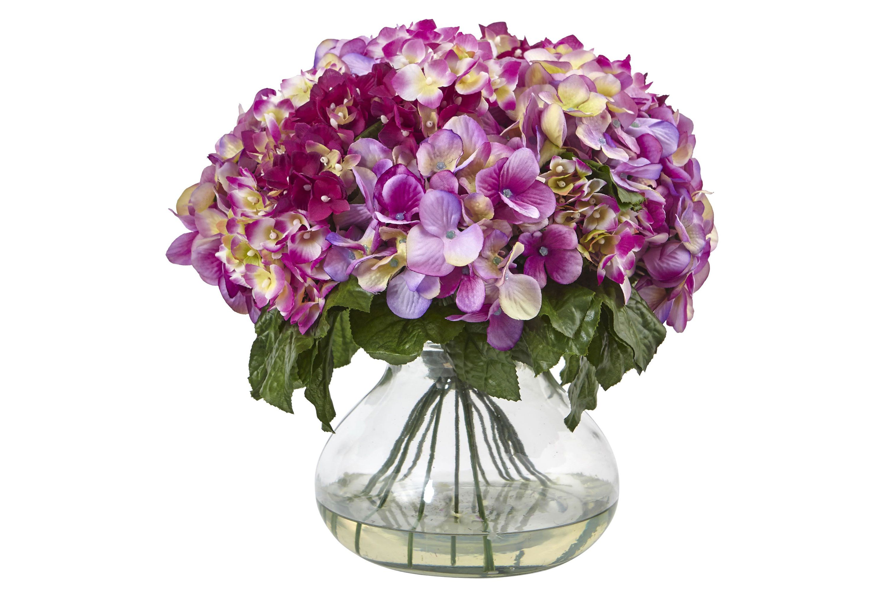 Hydrangea with Large Vase