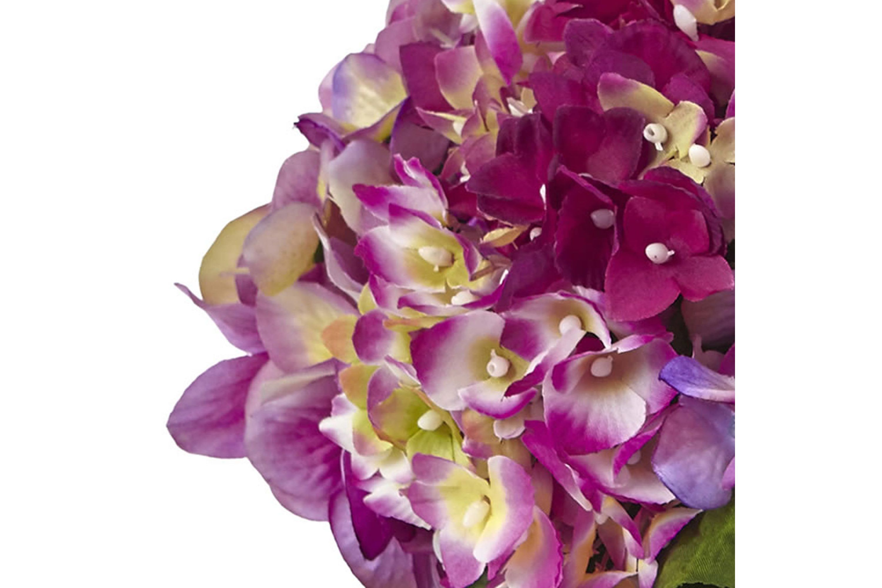 Hydrangea with Large Vase
