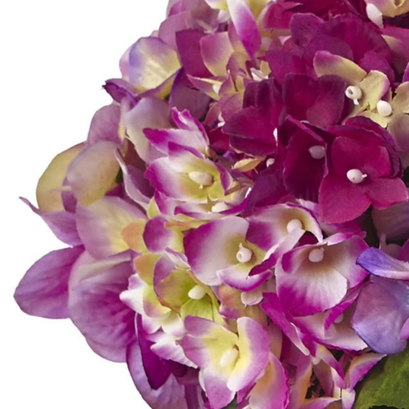 Hydrangea with Large Vase