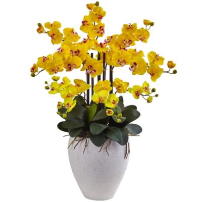 Phalaenopsis Orchid with White Planter