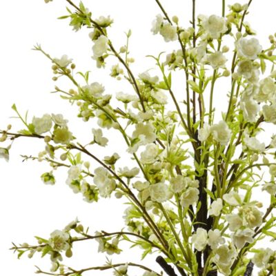 Cherry Blossom in Glass Vase