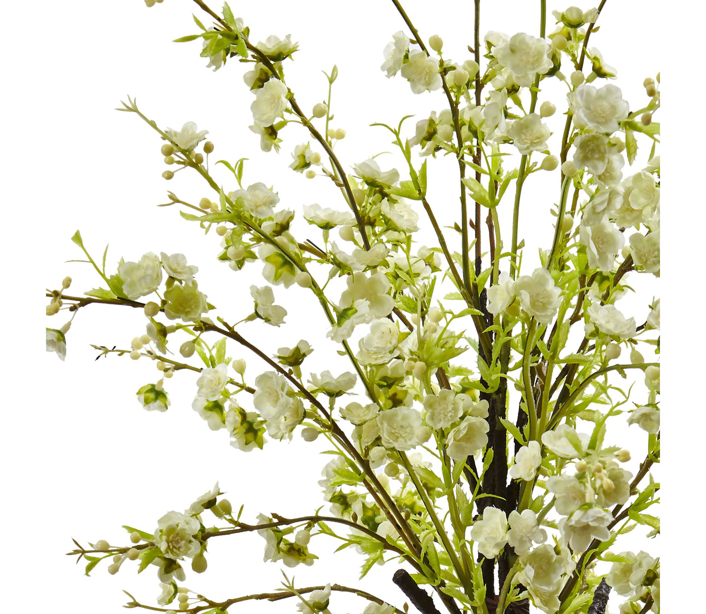 Cherry Blossom in Glass Vase