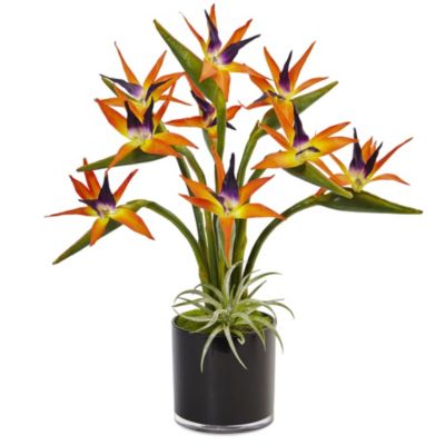 Bird of Paradise Silk Arrangement in Black Glossy Cylinder