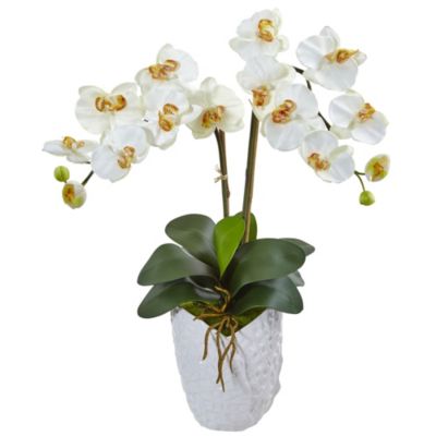 Double Phalaenopsis Orchid Silk Arrangement in White Vase