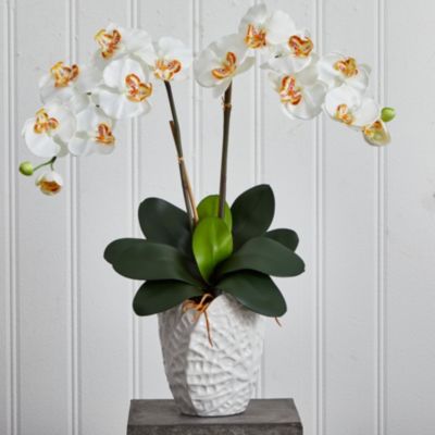 Double Phalaenopsis Orchid Silk Arrangement in White Vase
