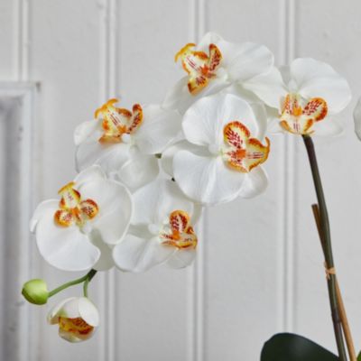 Double Phalaenopsis Orchid Silk Arrangement in White Vase