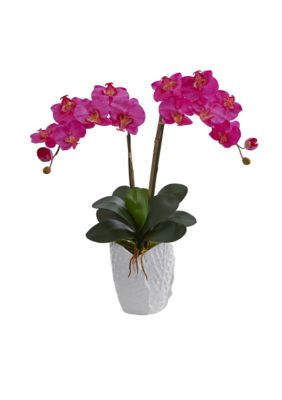 Nearly Natural Double Phalaenopsis Orchid Artificial Arrangement | belk