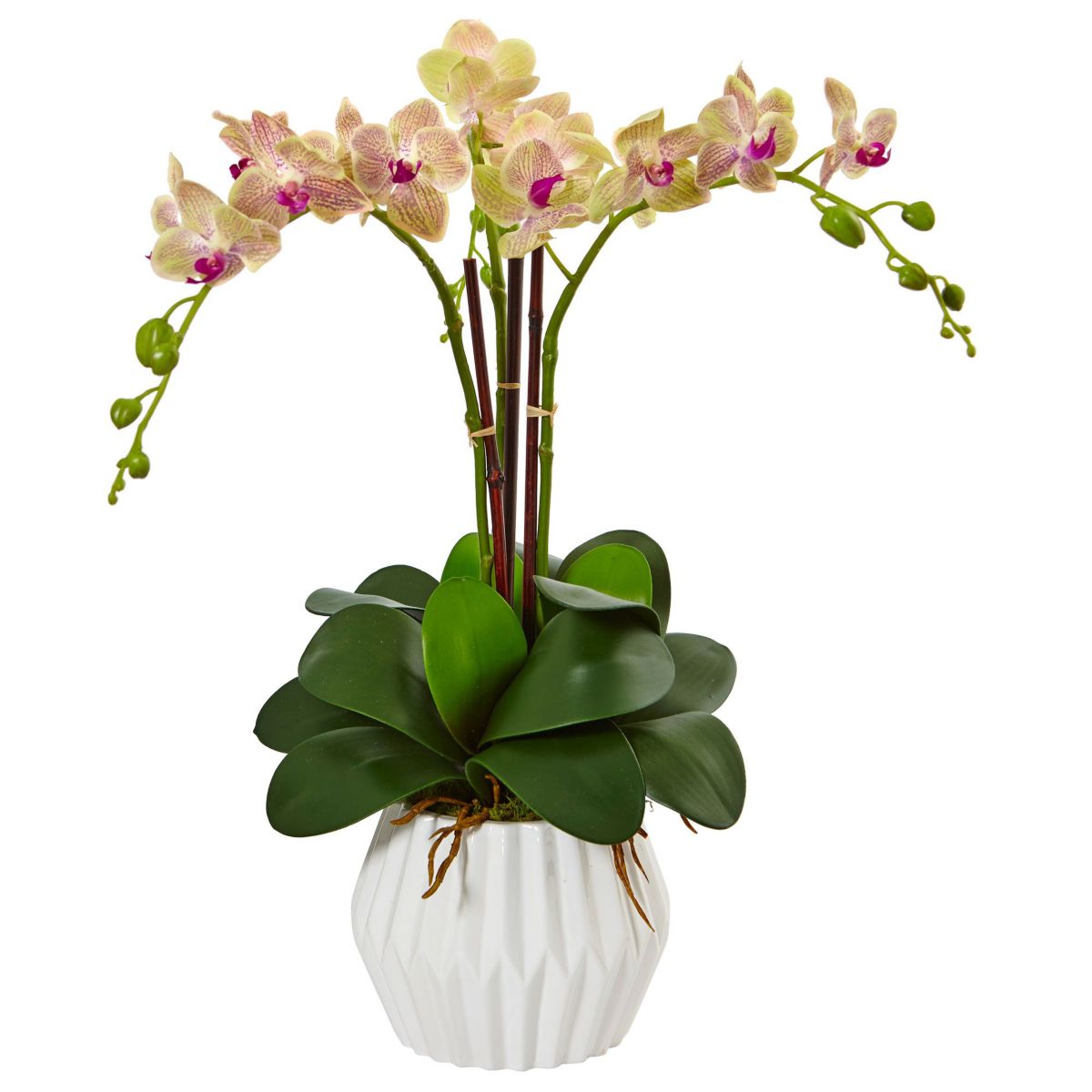 Phalaenopsis Orchid Silk Arrangement in White Vase