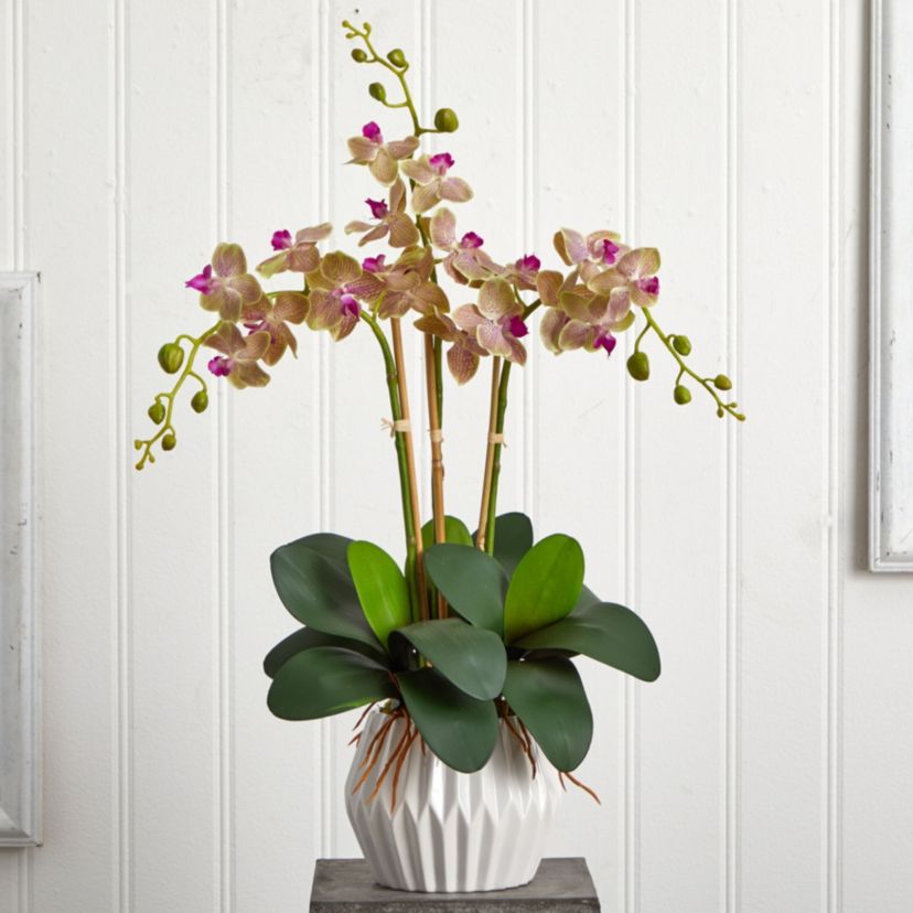 Phalaenopsis Orchid Silk Arrangement in White Vase