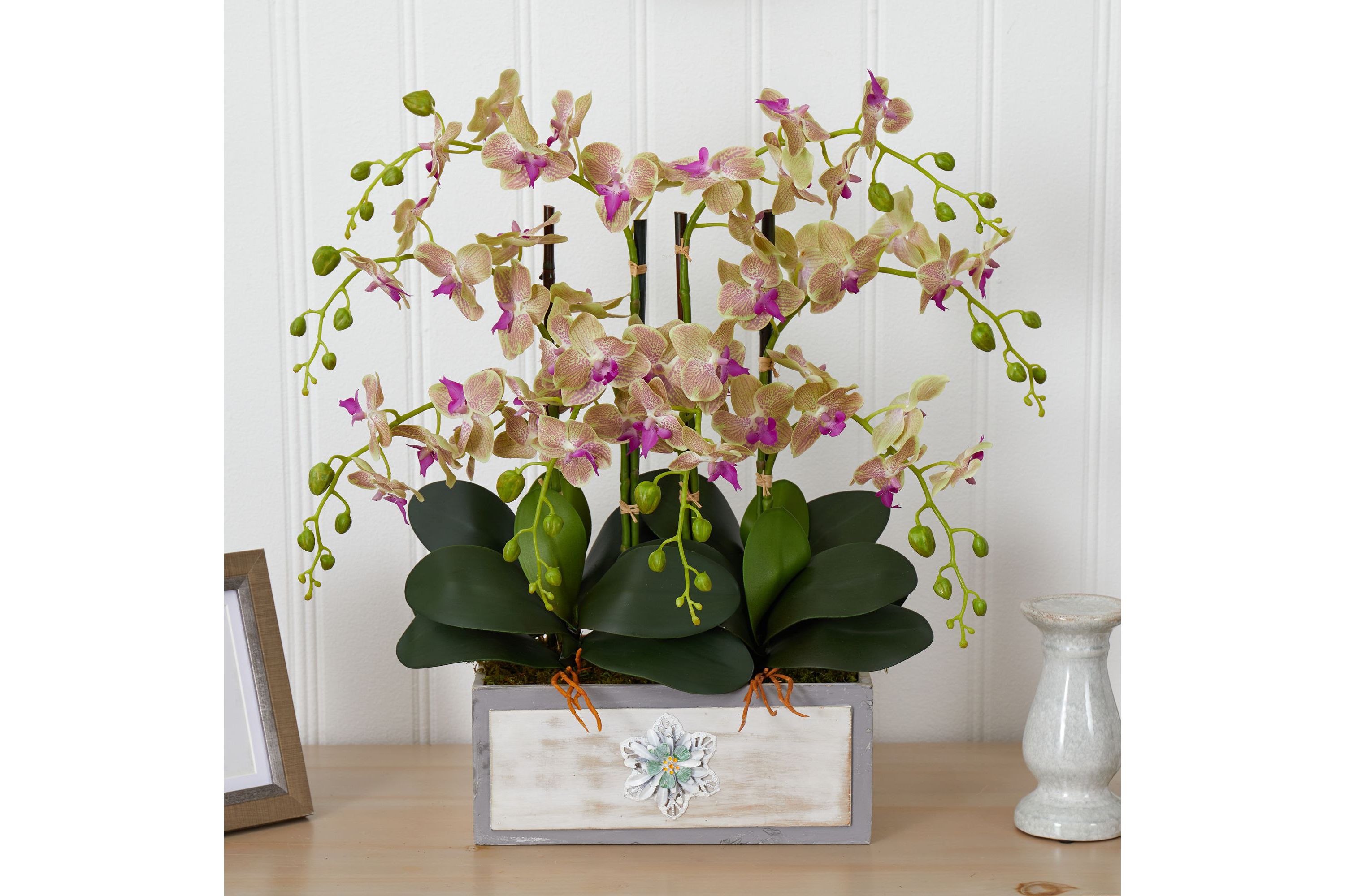 Phalaenopsis Orchid Arrangement in Decorative Wood Planter