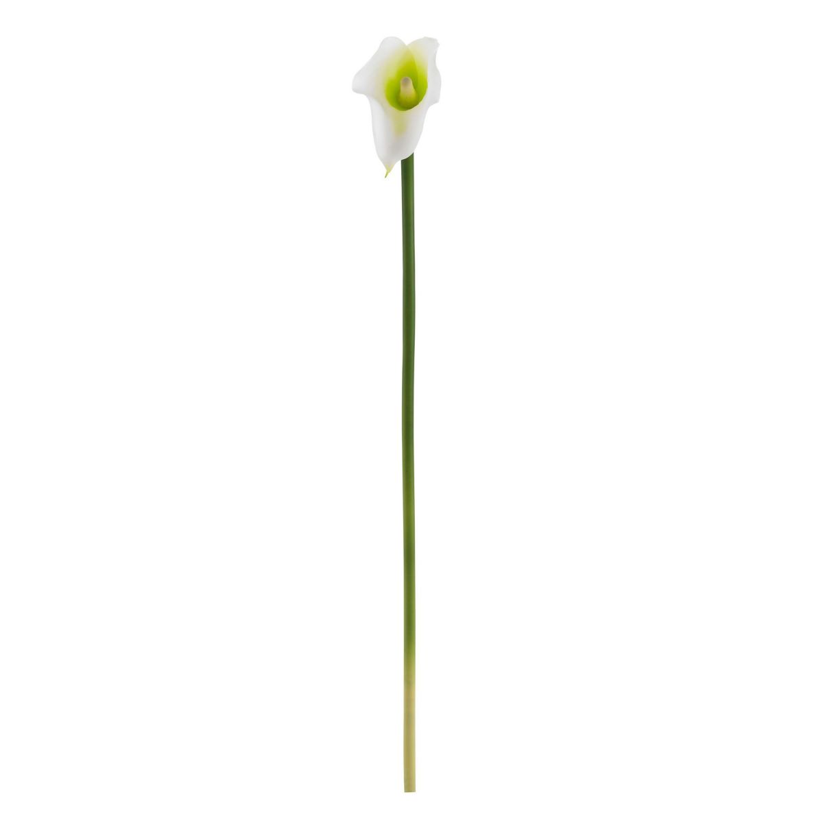19.5-Inch Calla Lily Artificial Flower (Set of 12)
