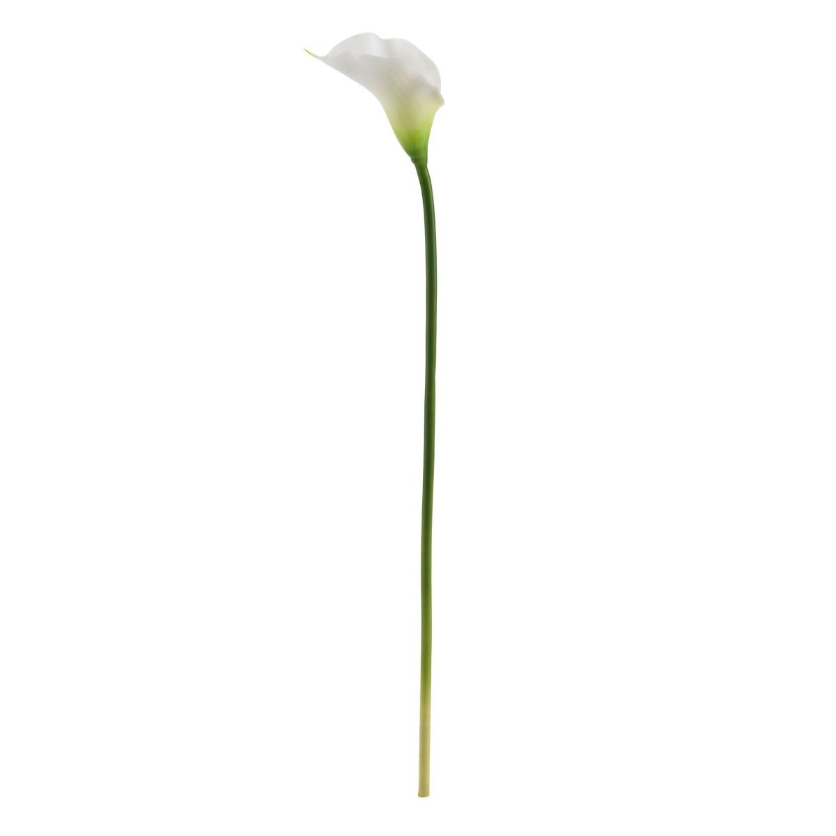 19.5-Inch Calla Lily Artificial Flower (Set of 12)