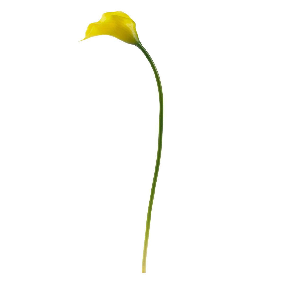 19.5-Inch Calla Lily Artificial Flower (Set of 12)