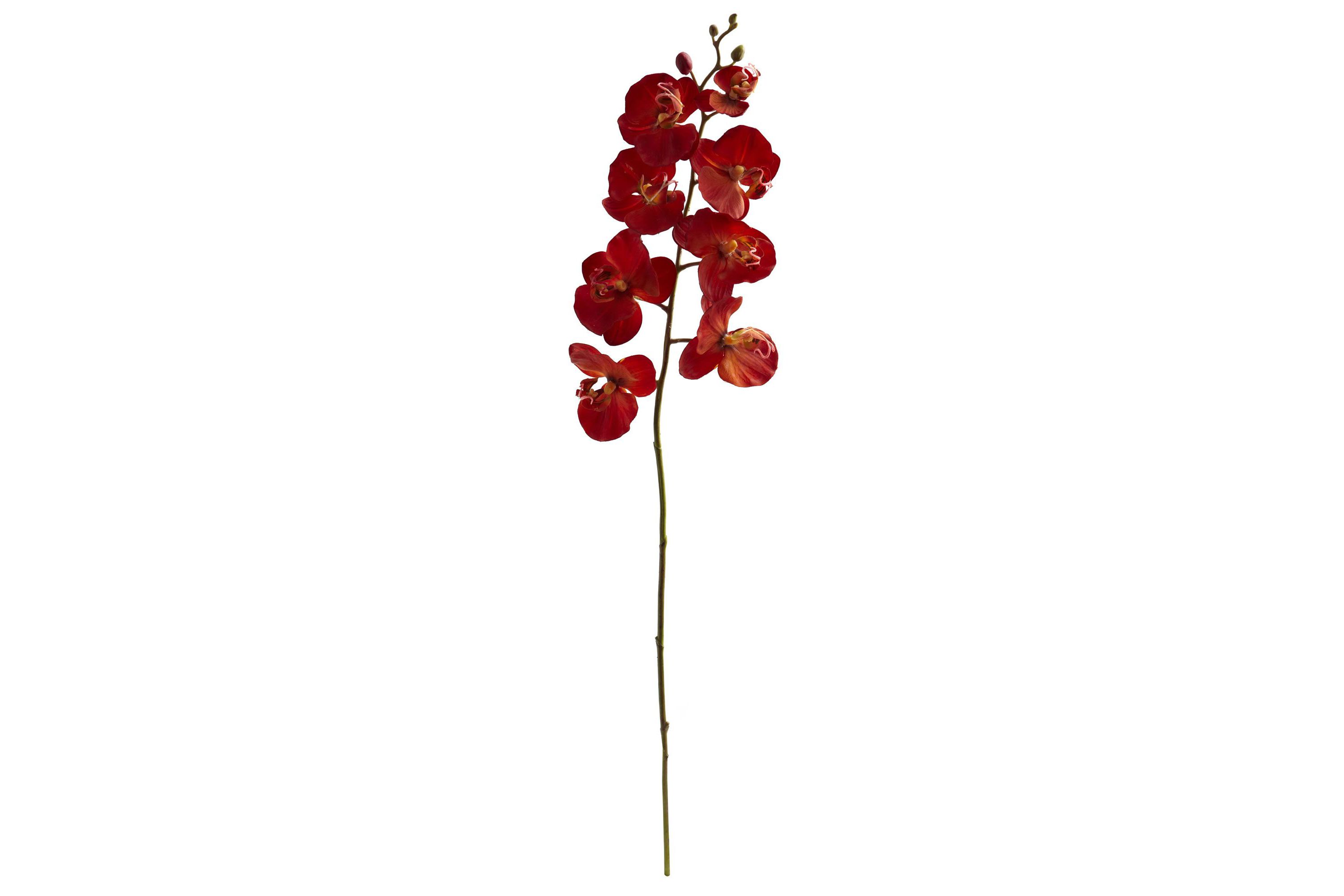 30-Inch Autumn Phalaenopsis Artificial Flower (Set of 6)