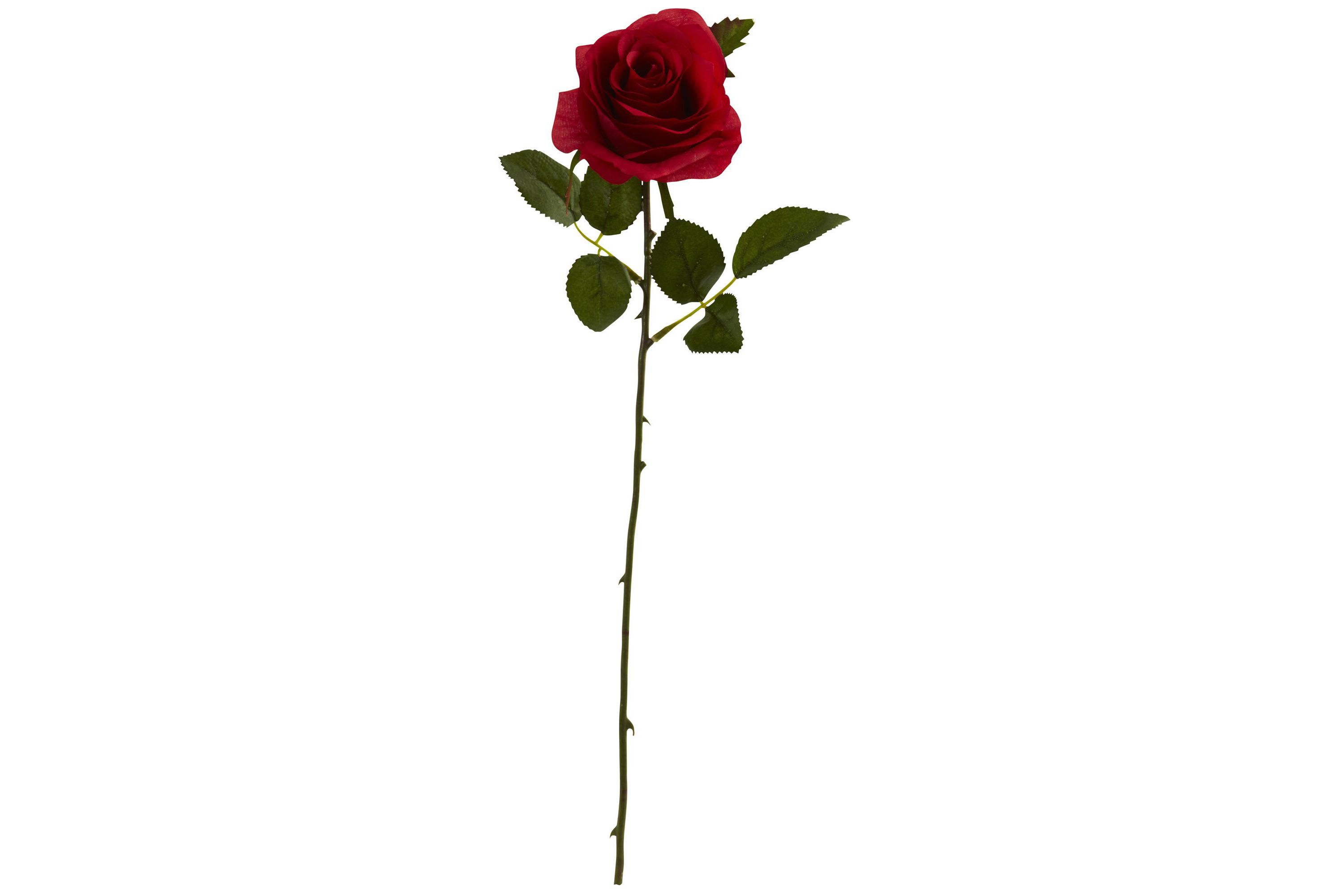 18-Inch Rose Artificial Flower (Set of 24)