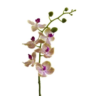 29-Inch Phalaenopsis Orchid Artificial Flower (Set of 4)