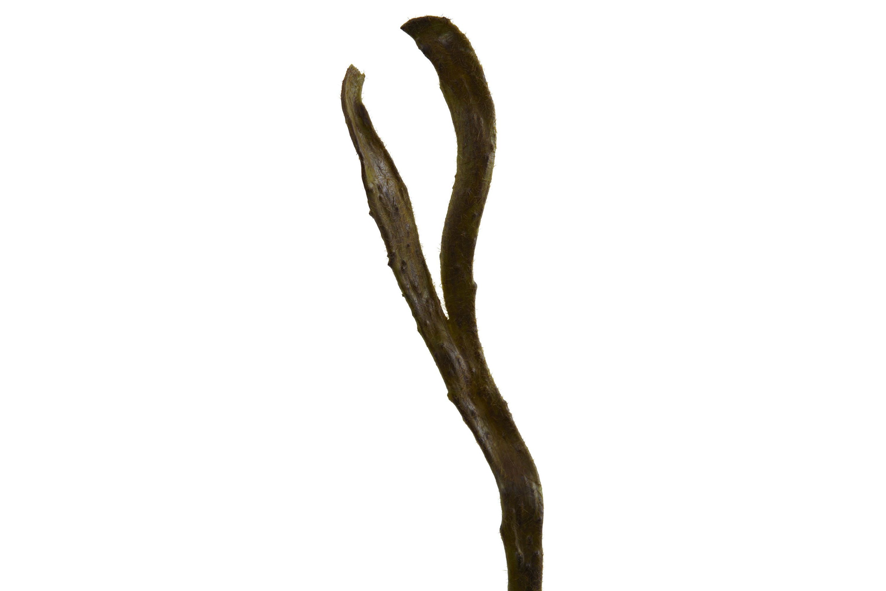 28-Inch Artificial Branch (Set of 12)
