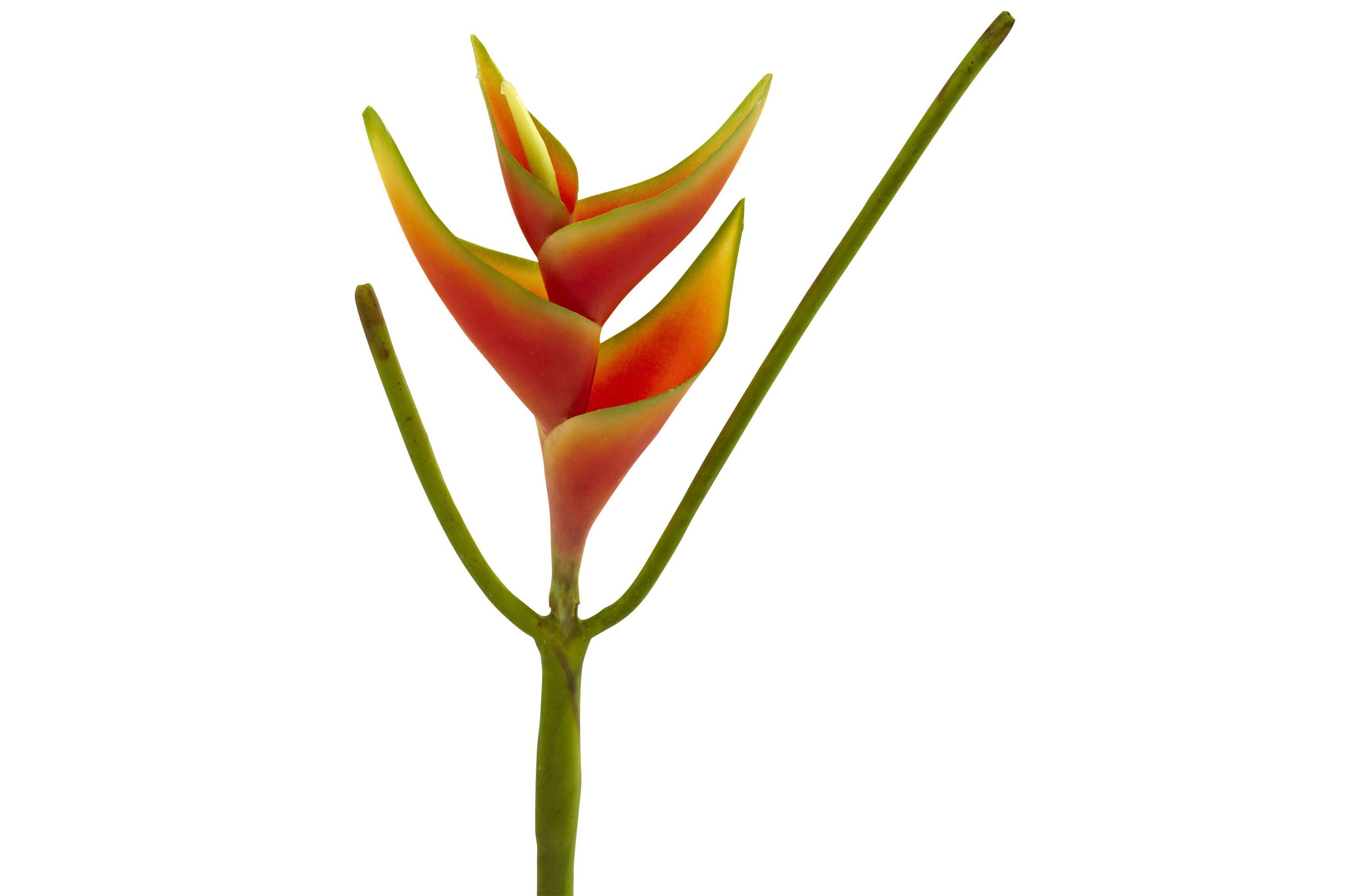 14-Inch Mini Heliconia Artificial Flower (Set of 6)