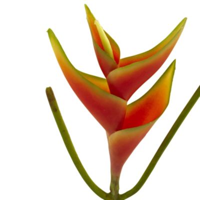 14-Inch Mini Heliconia Artificial Flower (Set of 6)