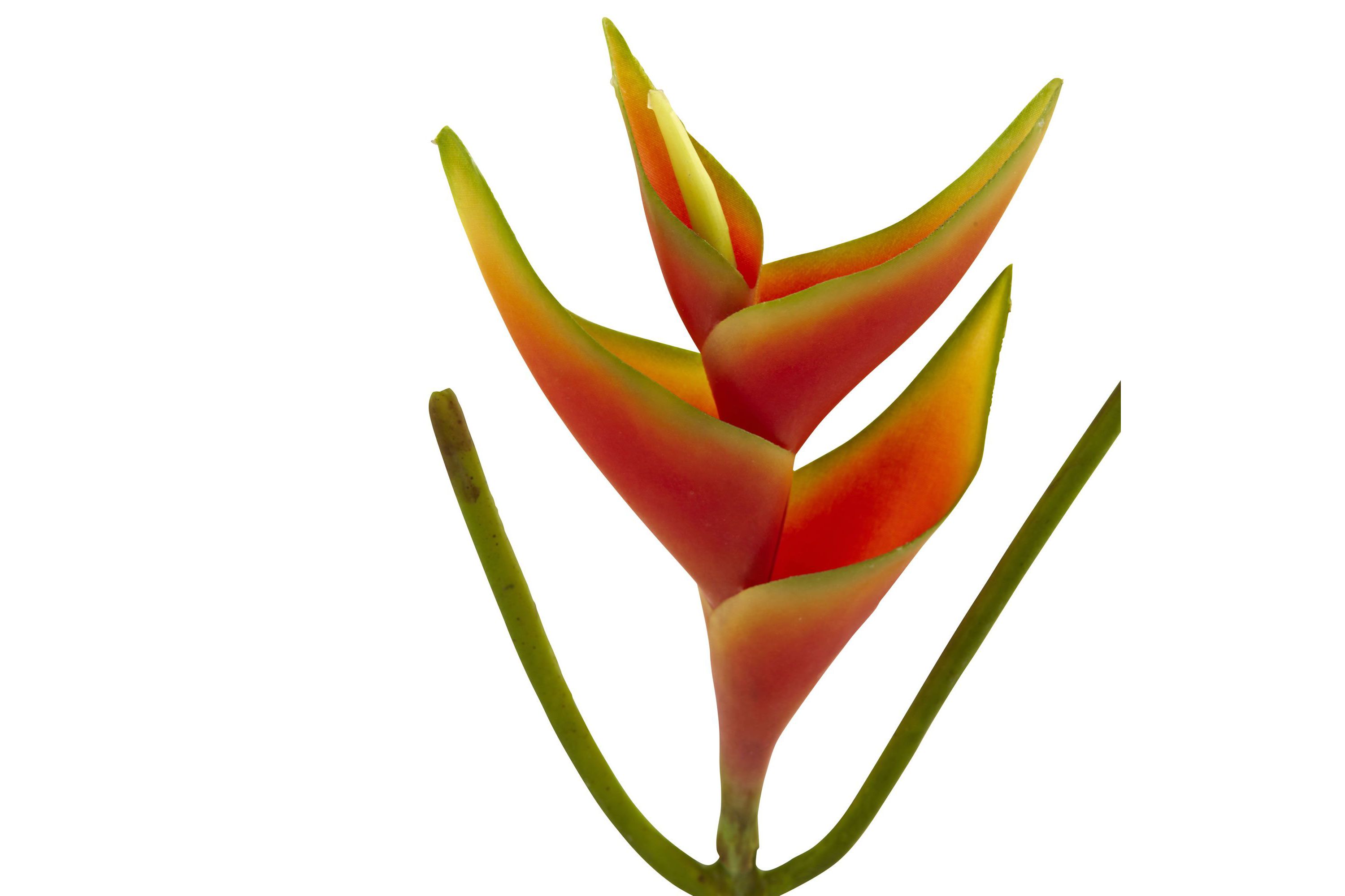 14-Inch Mini Heliconia Artificial Flower (Set of 6)