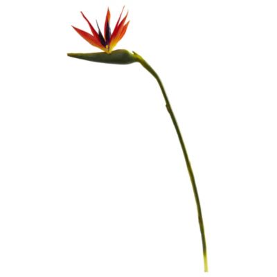 Nearly Natural 38-Inch Large Bird of Paradise Artificial Flower (Set of 4), Orange