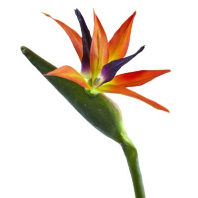 35-Inch Bird of Paradise Artificial Flower (Set of 4)