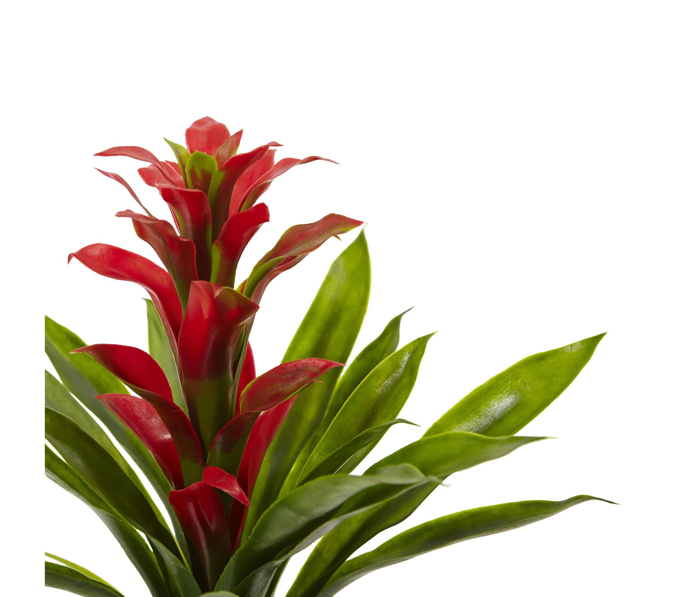 15-Inch Bromeliad Artificial Flower (Set of 4)