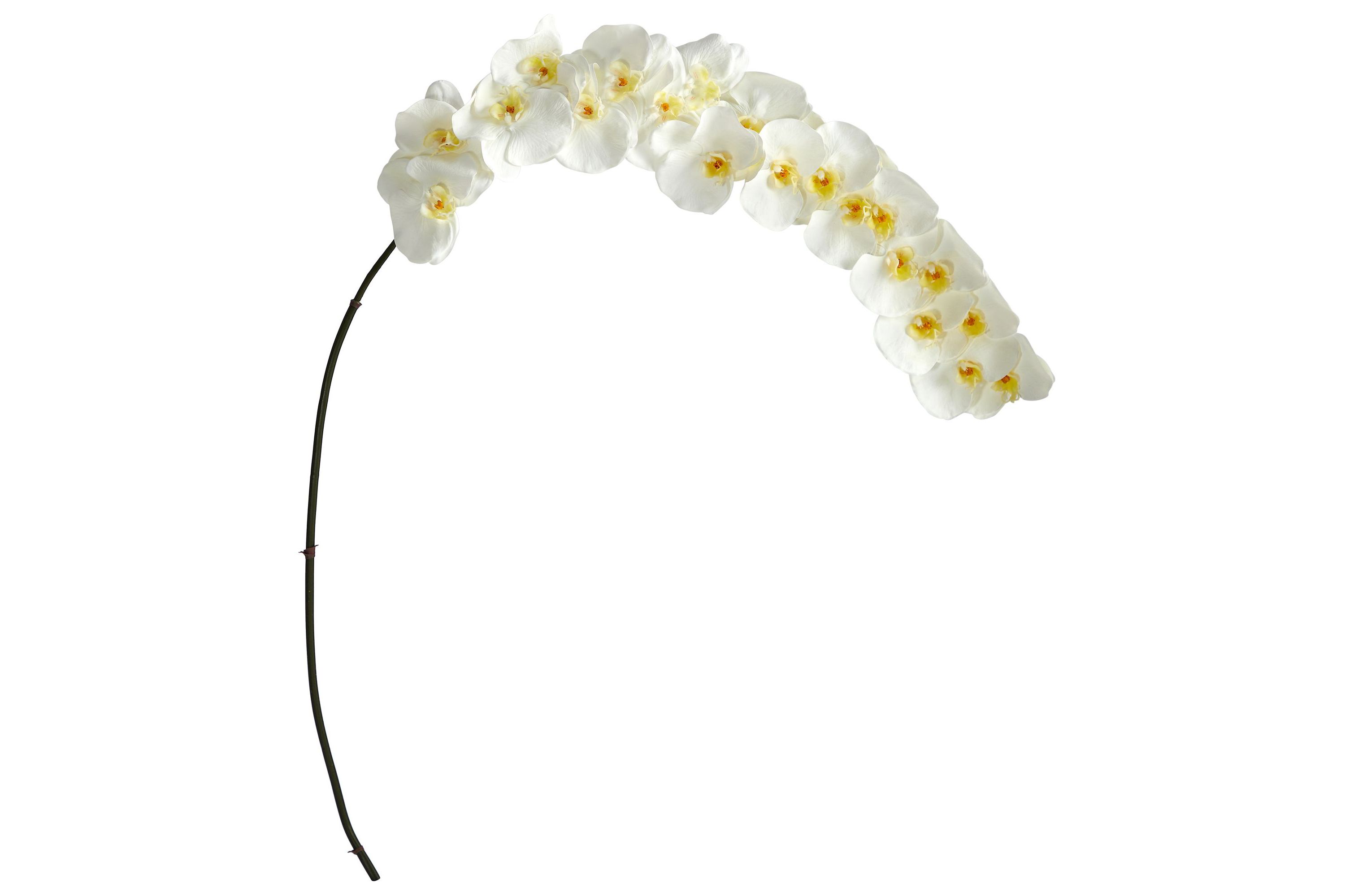 5-Foot Large Phalaenopsis Orchid Artificial Flower (Set of 2)