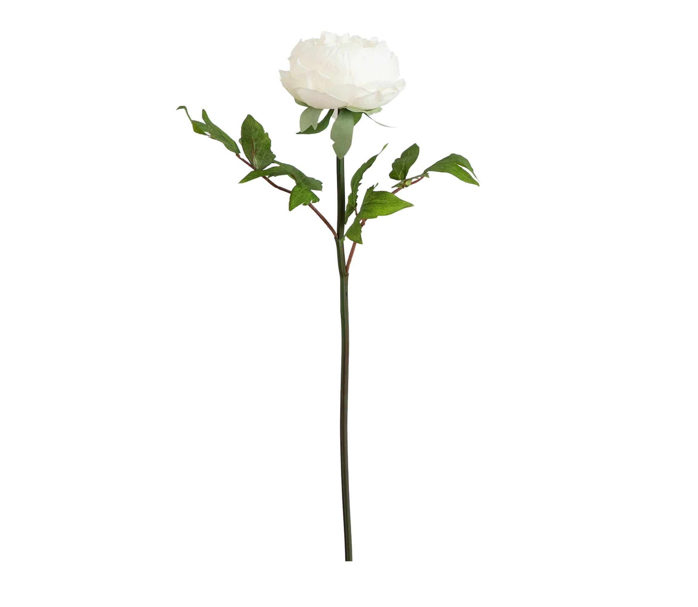 20in. Artificial Peony Flower Stems, Set of 3
