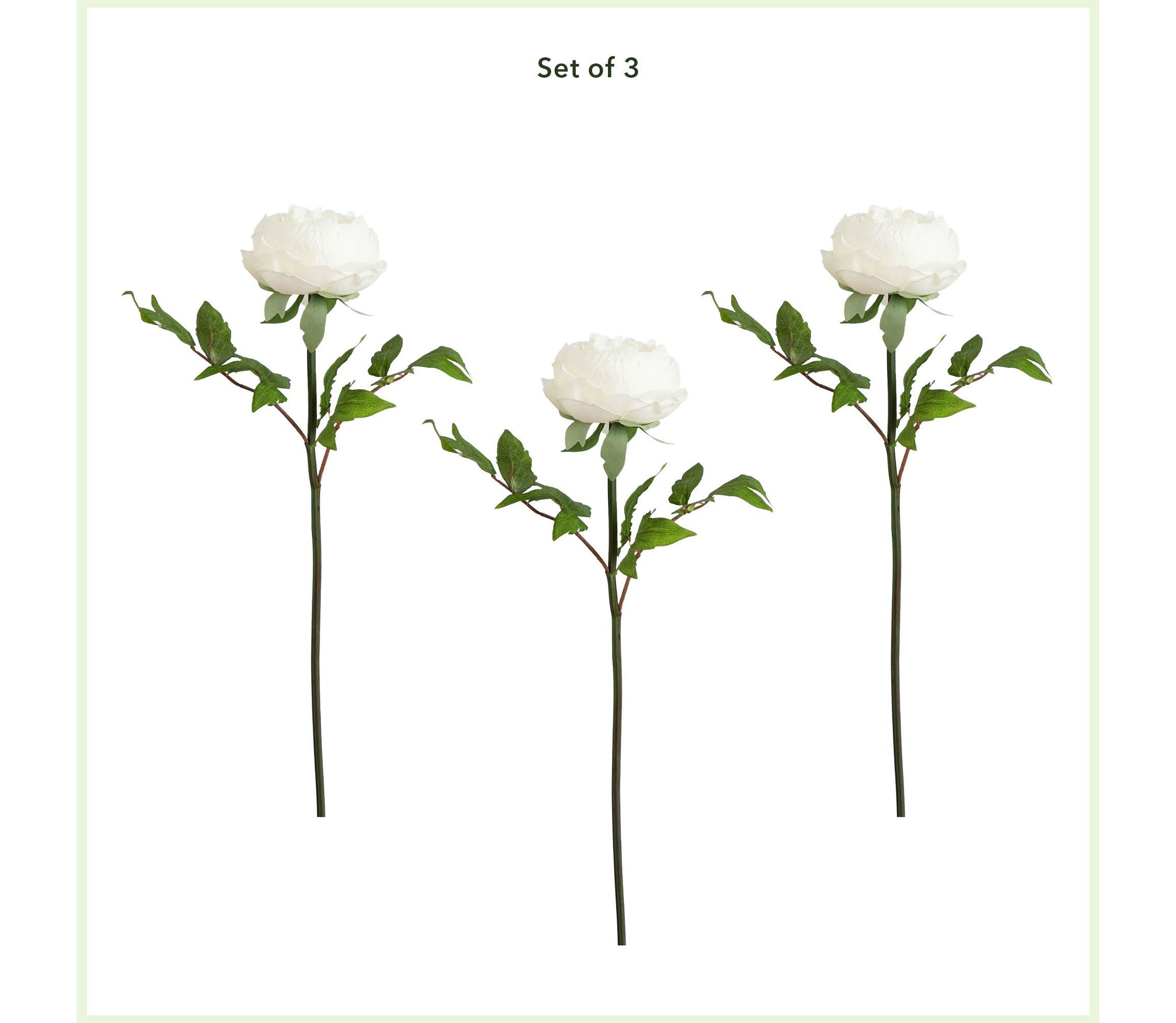 20in. Artificial Peony Flower Stems, Set of 3
