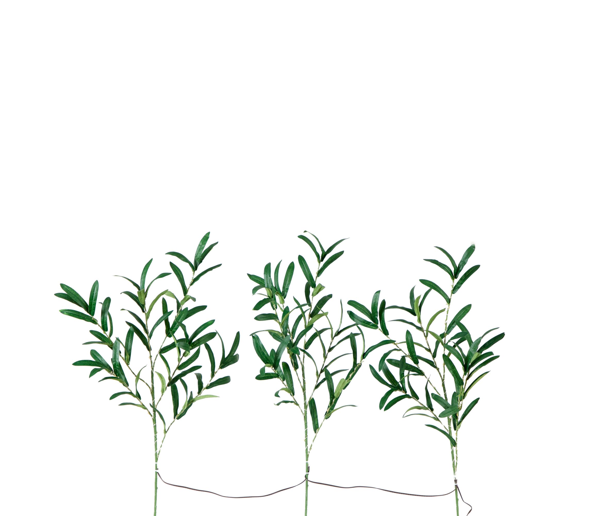 23in. Lighted Artificial Olive Branch Stems with 30 Warm White LED Lights - Set of 3