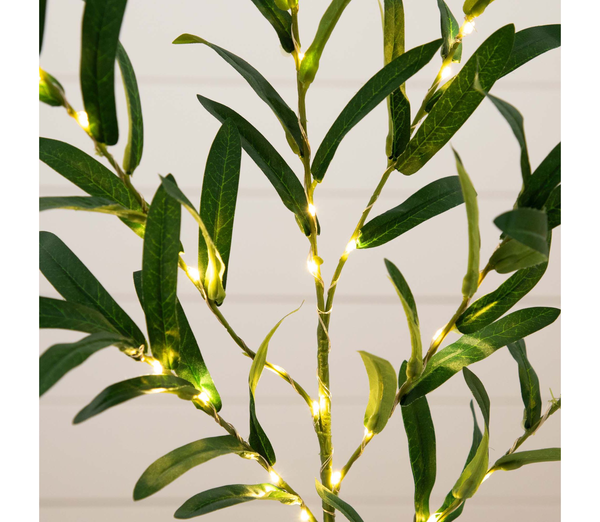 23in. Lighted Artificial Olive Branch Stems with 30 Warm White LED Lights - Set of 3