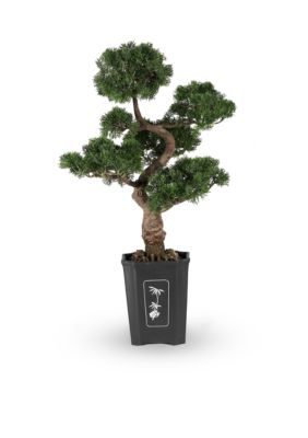 36-in. Cedar Bonsai Silk Plant