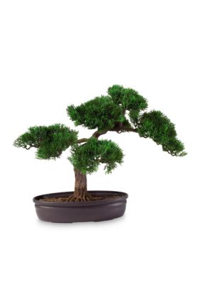 16-in. Cedar Bonsai Silk Plant