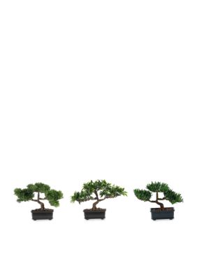 12-in. Bonsai Silk Plant Collection