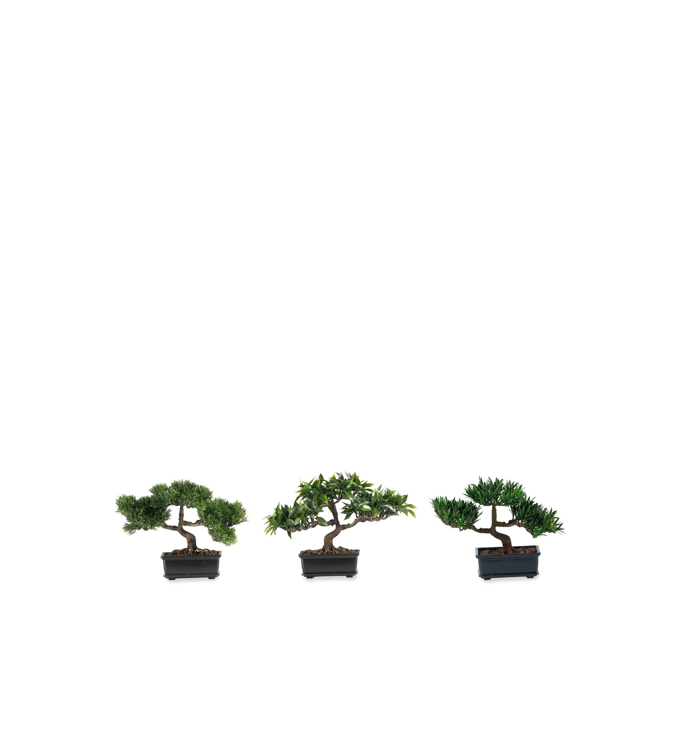 12-in. Bonsai Silk Plant Collection