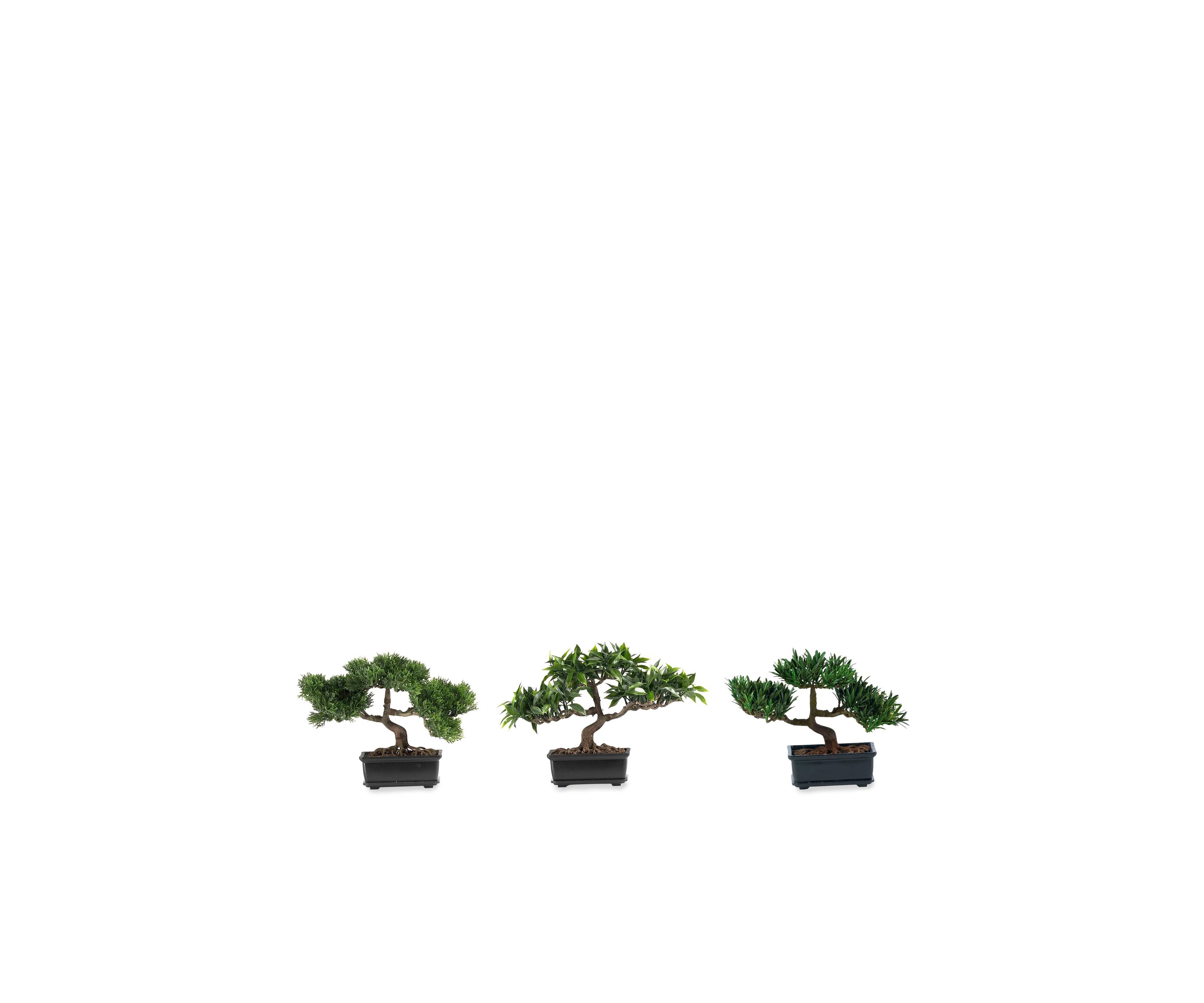 12-in. Bonsai Silk Plant Collection