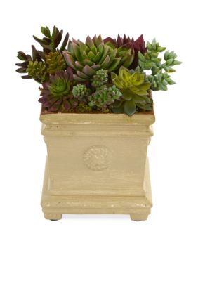 Mixed Succulent Artificial Plant