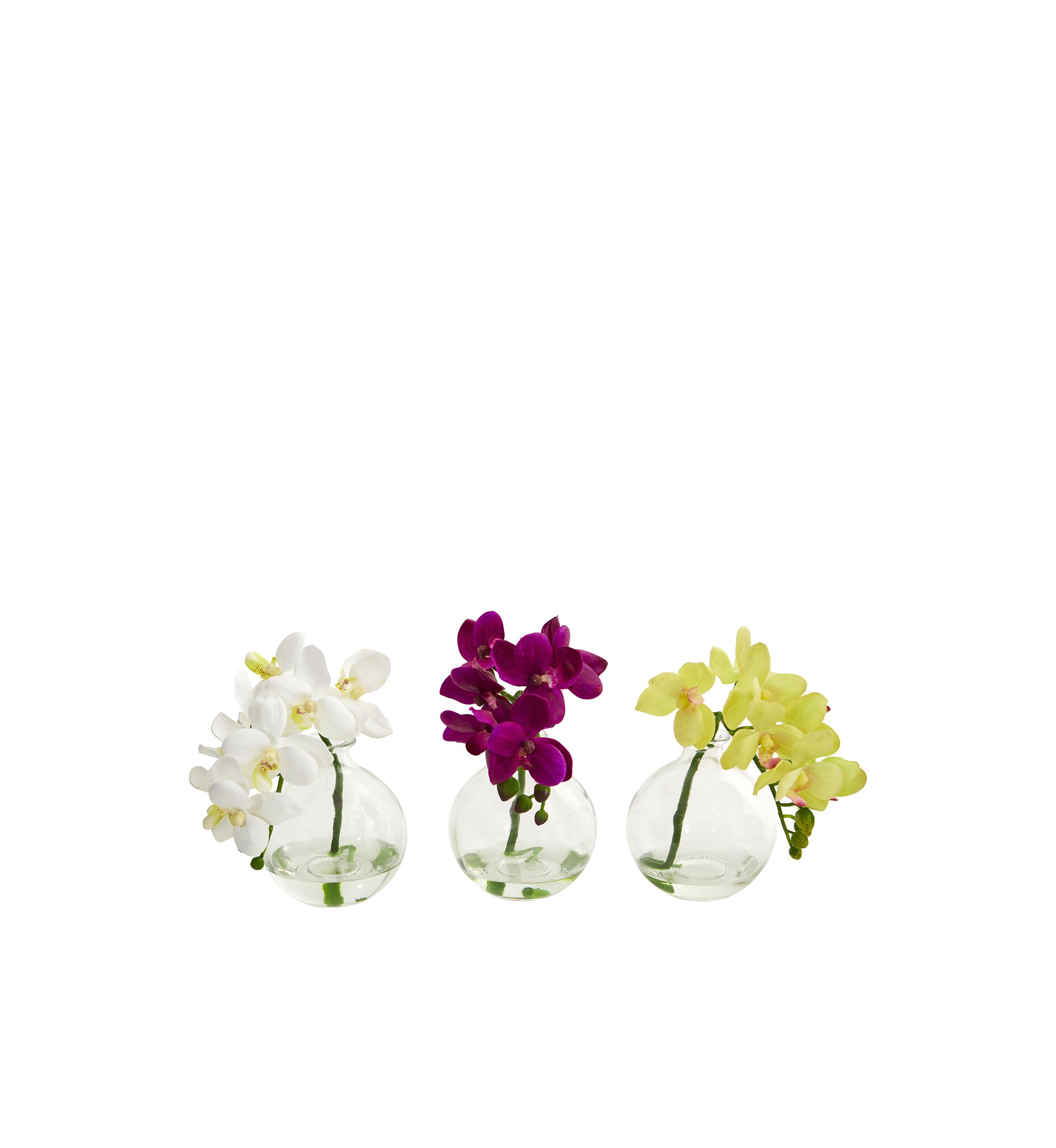 Phalaenopsis Orchid Arrangement in Vase - Set of 3