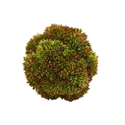 4-Inch Sedum Artificial Succulent Artificial Spheres (Set of 6)