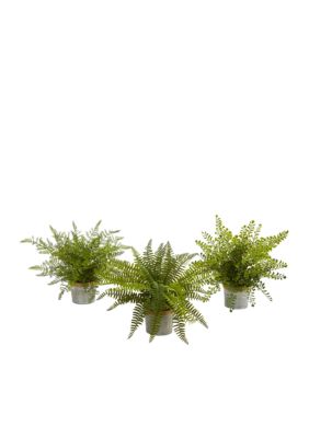 Nearly Natural Assorted Ferns with Planter Plant - Set of 3, Green