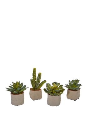 Nearly Natural Set of 4 Mixed Succulent Artificial Plants, Green