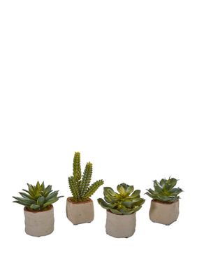 Set of 4 Mixed Succulent Artificial Plants